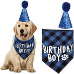 kuou Dog Birthday Bandana, Pets Bir