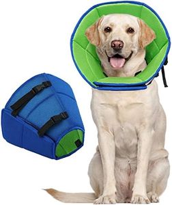 Dog Cone f