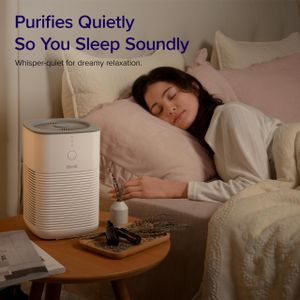 LEVOIT Dual HEPA Air Purifier – Gray