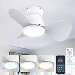 ycwdcz Small Ceiling Fans with Lamps Super Silent DC Ceiling Fans with Lights and Remote 6 Speeds Reversible 3 Blades 3 CCT, Mini Led Ceiling Fan for Small Bedroom Kids Room