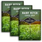 Hairy Vetch Seeds for Planting - 3 Packets with Instructions to Plant & Grow Beneficial Cover Crop & Forage in Your Home Garden - Non-GMO Heirloom Variety - Survival Garden Seeds