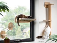 Cat Window Perch and Cat Wall Shelv