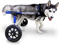 Walkin' Wheels Dog Wheelchair - for