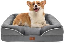 Spotted Play Orthopedic Dog Bed wit