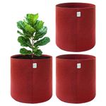 Anandi Green's 400 GSM Geo Fabric Plant Bag Suitable for Terrace and Flowers Vegetable Gardening Maroon Color 24x24 INCH Pack of 3 Grow Bags