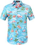 Hawaiian Shirts Men, Summer Shirts for Men, Flamingos Mens Shirts Short Sleeve Button Up Shirts