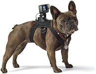 GoPro Fetch Dog Harness (GoPro Official Mount)