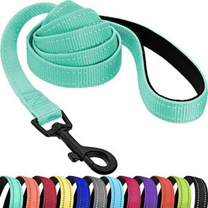 CollarDirect Nylon Dog Leash 5ft for Daily Outdoor Walking Running Training Heavy Duty Reflective Pet Leashes for Large, Medium & Small Dogs (Mint Green, Large)