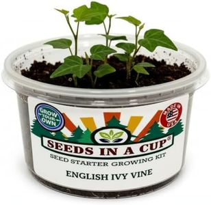 Seeds in a Cup Plant Growing Kit, Indoor/Outdoor, English Ivy Vine