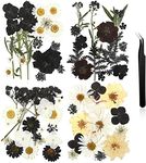 Nuanchu Black Dried Flowers for Resin Mold Pressed Flowers Bulk for Crafts Dried Leave Natural with Tweezer for Halloween Resin Mold Scrapbooking DIY Candle Soap(Darkly Style)