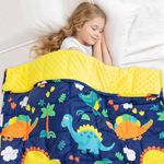Weighted Blanket 5 Pounds, 36" x 48",Insugar Fleece Minky Dots Heavy Blanket Throw for Bed Sleeping, Soft Blankets Gift for Boys and Girls, Blue Dinosaur