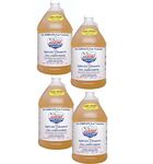 Lucas Oil 10013-PK4 Fuel Treatment, 1-Gallon (Pack of 4)