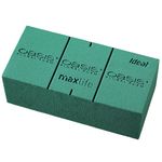 OASIS Floral Foam Brick | Florist Foam | Flower Foam Block for Crafts (Pack of 1)