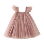 DEARBB Baby Girls Tutu Dress Tulle Sleeveless Sundress Summer Princess Toddler Infant Birthday Party Plum Pink