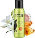 PAWFUME Dog Perfume Spray Long Lasting Scent for Grooming, Show Dog, 1-Pack – Keep Your Pup Fresh All Day – Hypoallergenic, Alcohol-Free, Detangling Formula – Moisturizing Pet Cologne Spray for Dogs