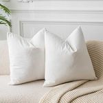 JUSPURBET Velvet Pillow Covers,Pack of 2 Throw Pillow Covers for Sofa Couch Bed,Decorative Super Soft Pillowcases (26''x26'', Cream White)