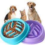 Slow Feeder Dog Bowls 2 Pack, Anti-Slip Slow Eating Dog Bowl, Maze Dog Food Bowl, Anti-Choking Puzzle Feeder Dog Bowl, Slow Feeder Bowl for Dogs & Cats, All Breeds Pets (Blue&Purple)