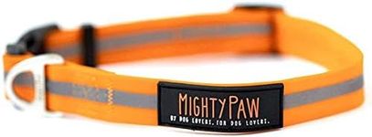 Mighty Paw Waterproof Dog Collar, B