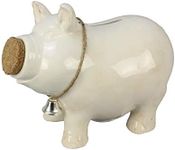 Young's Inc. Ceramic Coin Piggy Bank - Cute Home Decor - Perfect for Kids and Adults - Novelty Gifts for Friends and Family - Piggy