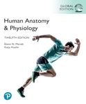 Human Anatomy & Physiology, Global Edition