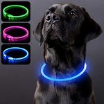 PZRLit LED Light Up Dog Collars USB Rechargeable Waterproof, Adjustable TPU Cuttable Glow Dark Lighted Dog Collar for Small Medium Large Dogs, Pet Dog Lights for Safe Night Walk, Blue