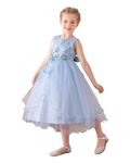 Lenefu Flower Girl Dress,Toddler Formal Dress Birthday Party Wedding Floral Embroidered Tulle Satin Dresses for Kids Age 2-12(Blue 120)