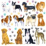 DECOWALL DS-8045 12 Dogs Wall Stickers Puppy Pet Paw Print Learning Dog Breed Decals for Kids Nursery Bedroom Living Room Art