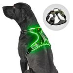 Light Up Dog Harness,LED Dog Harness No Pull with Soft Handle Rechargeable, Lighted Dog Harness for Medium Dogs(Reflective,Adjustable,Lightweight,Rainproof)