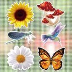 JSRQT 12 Pieces Floral Screen Door Magnets Decorative Flower Magnetic Screen Door Decals Double Sided Screen Butterfly Flexible Screen Door Protector for Pets Sliding Door Bird Magnet Screen Sticker