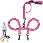 Double Dog Lead for Walking 2 Dogs, Double Dog Lead Splitter, Reflective Dual Dog Leash for Puppy Walks, Dog Leash 360°Swivel Rotation