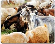 Natural Rubber Mouse Pad Goat in Meadow Goat herd33