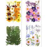 106 Pieces Assorted Real Dried Pressed Flowers Combination Real Dried Pressed Leaves Natural Dry Flowers Leaves for Resin Mold, Pressed Leaf Art, Embellishment Decorations(Pink,Purple,Yellow,Green)