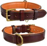 DowgClub Leather Dog Collar | Leath