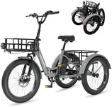 NAIZEA 20" Fat Tire Electric Trike - 48V 500W Folding Electric Tricycle for Adults