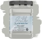 Dixie Belle Silk All-in-One Mineral Paint | Baja Gray (32oz) | Light Gray All-in-One Water Based Primer + Topcoat | Durable Furniture Paint | Low Reflective Finish