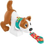 ​Fisher-Price 123 Crawl with Me Puppy - French Edition, Electronic Dog Infant Crawling Toy with Music and Learning for Infants and Toddlers