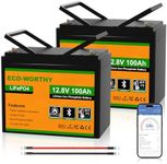ECO-WORTHY 12V 200Ah (2 pack 100Ah)
