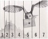 Juniper Books Harry Potter Boxed Set: Castle and Owl Edition | 7-Volume Hardcover Book Set with Custom Designed Dust Jackets for books published by Scholastic| J.K. Rowling | Includes all 7 Harry Potter Books