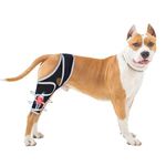Dog Knee Brace for Torn Acl Hind Leg, Relieves Ligament Injury and Joint Pain, Adjustable Leg Support Bracket for Warmth and Support, Universal Dog Knee Brace for Four Legs(XL)