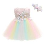 Weileenice Baby Girls Photo Shoot Outfit 6M/ 6-12 Infant Birthday Party Flower Lace Beading Dress Peach Pink Headband Tulle 3D Embroidery Princess Tutu Christening Baptism Dresses Rainbow Pageant Gala