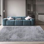 HAISAM CARPET Modern Soft Shaggy Rugs Fluffy Home Decorative for Living Room 2-inch Thick Carpet [Size 3x5 feet]