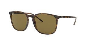 Ray-Ban Men's 0RB4387 Sunglasses, Brown (Havana), 56