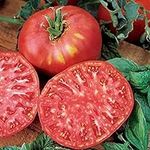 Pink Brandywine Tomato Seeds - Heir