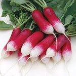 Golden Hills Farm® (AVG 500-1000) seeds RADISH HALF RED HYBRID VEGETABLES SEEDS