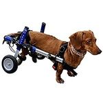 Dachshund Wheelchair - for Small Do