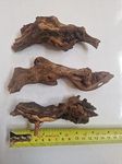 Lincolnshire Pond Plants Ltd Bogwood, Rocks and PadsTropical Live Aquarium Plants (3 Small Bogwood (Driftwood))