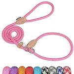 Grand Line Slip Lead Dog Leash, 5FT