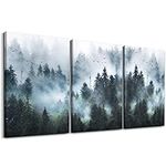 DZRWUBHS Canvas Wall Art For Living