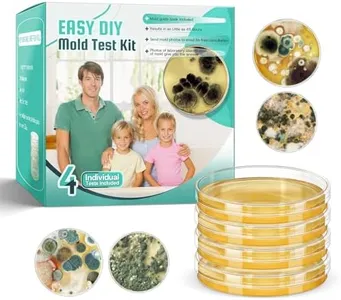Mold Test 