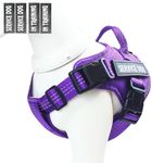 PUMDOWS Service Dog Vest - in Training Pet Vest Harness, Oxford Adjustable Reflective Dogs Vest with Adjustable Padded and Handle & 2 Pairs Patches, Easy Control for Small,Medium Breeds (Purple,S)